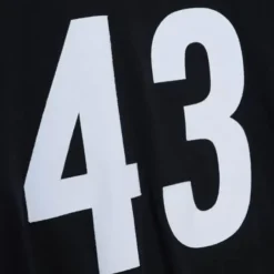 Mitchell & Ness T-Shirts & Tops-N&N Longsleeve Tee Pittsburgh Steelers 2005 Troy Polamalu