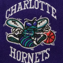 Mitchell & Ness Snapback-Now You See Me Snapback Hwc Charlotte Hornets