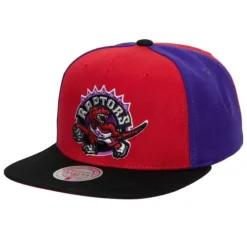 Mitchell & Ness Snapback-On The Block Snapback Hwc Toronto Raptors