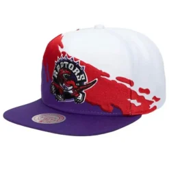Mitchell & Ness Snapback-Paintbrush Snapback Hwc Toronto Raptors