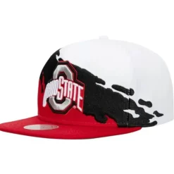 Mitchell & Ness Snapback-Paintbrush Snapback Ohio State