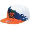 Mitchell & Ness Snapback-Paintbrush Snapback University Of Florida