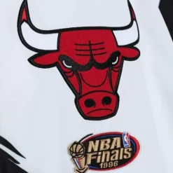 Mitchell & Ness Jackets & Outerwear-Paintbrush Windbreaker Chicago Bulls
