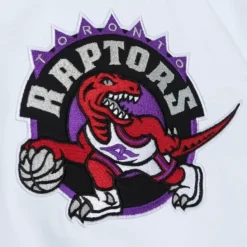 Mitchell & Ness Jackets & Outerwear-Paintbrush Windbreaker Toronto Raptors