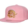 Mitchell & Ness Snapback-Pastel Snapback Hwc Toronto Raptors
