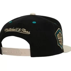 Mitchell & Ness Snapback-Pin Drop Snapback Charlotte Hornets