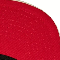 Mitchell & Ness Snapback-Pin Drop Snapback Houston Rockets