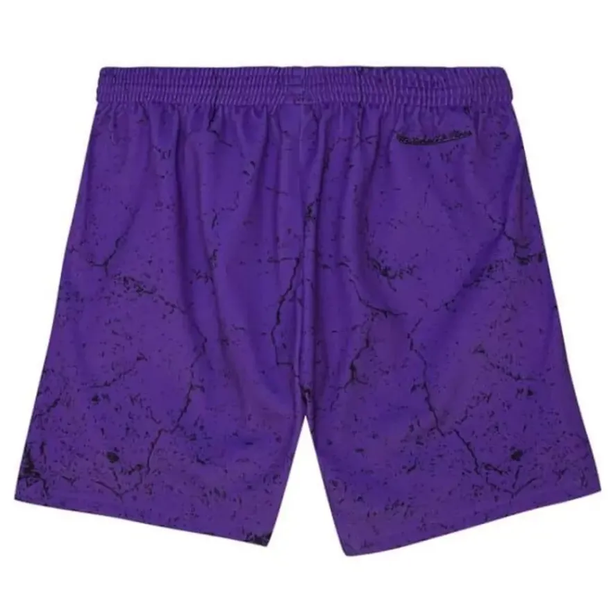 Mitchell & Ness Shorts-Player Burst Mesh Shorts Toronto Raptors Vince Carter