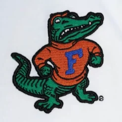 Mitchell & Ness T-Shirts & Tops-Practice Day Button Front Jersey University Of Florida