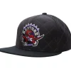 Mitchell & Ness Snapback-Quilted Taslan Snapback Hwc Toronto Raptors