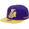 Mitchell & Ness Snapback-Rear Script Deadstock Snapback Los Angeles Lakers