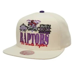 Mitchell & Ness Snapback-Reframe Retro Snapback Hwc Toronto Raptors