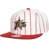 Mitchell & Ness Snapback-Retro Pinstripe Snapback Hwc Philadelphia 76Ers