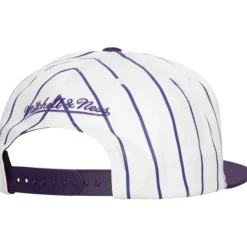 Mitchell & Ness Snapback-Retro Pinstripe Snapback Hwc Toronto Raptors
