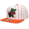 Mitchell & Ness Snapback-Retro Pinstripe Snapback University Of Florida
