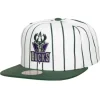 Mitchell & Ness Snapback-Retro Pinstripe Snapback Hwc Milwaukee Bucks