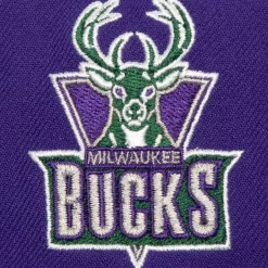 Mitchell & Ness Snapback-Retro Sport Snapback Hwc Milwaukee Bucks
