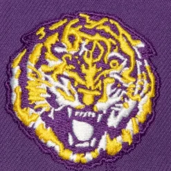 Mitchell & Ness Snapback-Retro Sport Snapback Vntg University Of Alabama