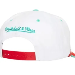 Mitchell & Ness Snapback-Retrodome Pro Snapback Hwc Vancouver Grizzlies