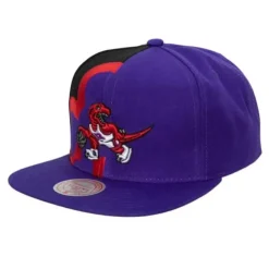 Mitchell & Ness Snapback-Retroline Snapback Hwc Toronto Raptors