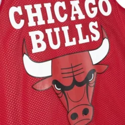 Mitchell & Ness T-Shirts & Tops-Reversible Mesh Tank Chicago Bulls