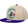 Mitchell & Ness Snapback-Sail 2 Tone Snapback Hwc Charlotte Hornets