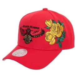 Mitchell & Ness Snapback-Secondary Roses Pro Snapback Hwc Atlanta Hawks
