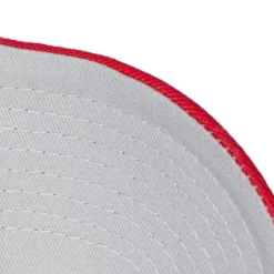 Mitchell & Ness Snapback-Secondary Roses Pro Snapback Hwc Atlanta Hawks