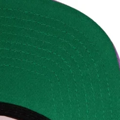 Mitchell & Ness Snapback-Sharktooth Snapback Hwc Toronto Raptors