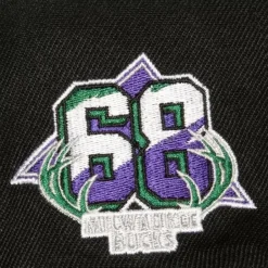 Mitchell & Ness Snapback-Side Jam Snapback Hwc Milwaukee Bucks