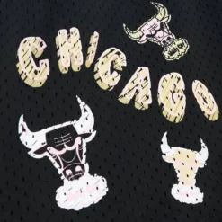 Mitchell & Ness Shorts-Sidewalk Sketch Shorts Hwc Chicago Bulls