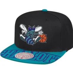 Mitchell & Ness Snapback-Snapshot Snapback Hwc Charlotte Hornets