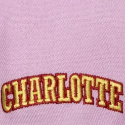 Mitchell & Ness Snapback-So Fresh Snapback Hwc Charlotte Hornets