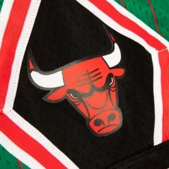 Mitchell & Ness Nba Swingman-Swingman Chicago Bulls 1995 Shorts