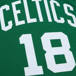 Mitchell & Ness Nba Swingman-Swingman Dave Cowens Boston Celtics Dark 1973-74 Jersey