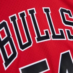 Mitchell & Ness Nba Swingman-Swingman Horace Grant Chicago Bulls 1990-91 Jersey