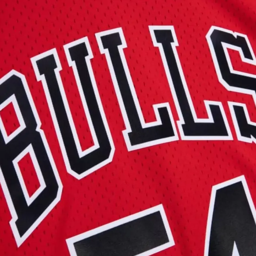 Mitchell & Ness Nba Swingman-Swingman Horace Grant Chicago Bulls 1990-91 Jersey