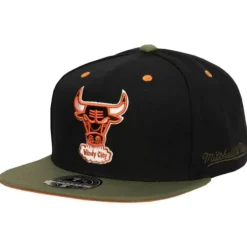 Mitchell & Ness Fitted-Take Flight Fitted Hwc Chicago Bulls