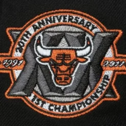 Mitchell & Ness Fitted-Take Flight Fitted Hwc Chicago Bulls