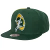 Mitchell & Ness Snapback-Tapestry Snapback Green Bay Packers