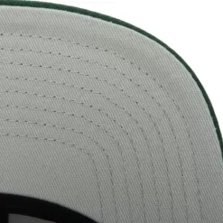 Mitchell & Ness Snapback-Tapestry Snapback Green Bay Packers
