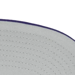 Mitchell & Ness Snapback-Tapestry Snapback Los Angeles Lakers