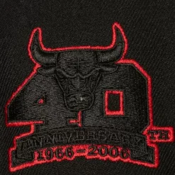 Mitchell & Ness Snapback-Tc Bottoms Snapback Chicago Bulls