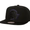 Mitchell & Ness Snapback-Tc Bottoms Snapback Hwc Toronto Raptors
