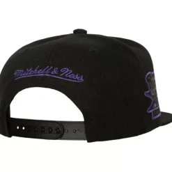 Mitchell & Ness Snapback-Tc Bottoms Snapback Hwc Toronto Raptors