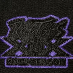 Mitchell & Ness Snapback-Tc Bottoms Snapback Hwc Toronto Raptors