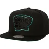 Mitchell & Ness Snapback-Tc Bottoms Snapback Hwc Vancouver Grizzlies