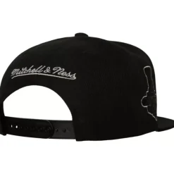 Mitchell & Ness Snapback-Tc Bottoms Snapback Vntg Los Angeles Kings