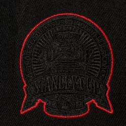 Mitchell & Ness Snapback-Tc Bottoms Snapback Vntg Detroit Red Wings