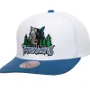 Mitchell & Ness Snapback-Team 2 Tone 2.0 Pro Snapback Hwc Minnesota Timberwolves